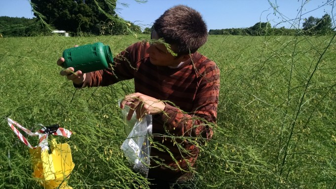 IMG_20150721_102047675