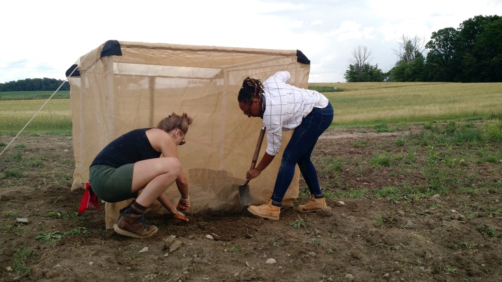 IMG_20170619_122027654