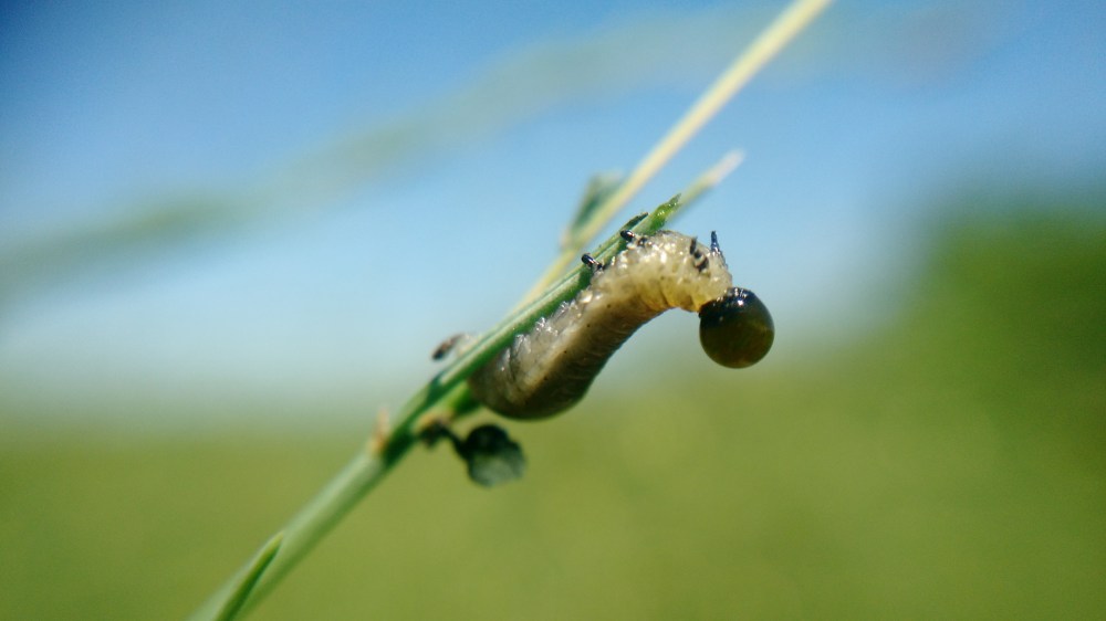 IMG_20160621_123158673